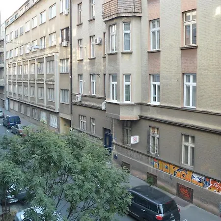 White Night Center Белград